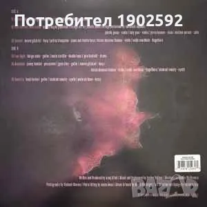 Arooj Aftab – Vulture Prince 	New Amsterdam Records – NWAM153, снимка 2 - Грамофонни плочи - 49884876