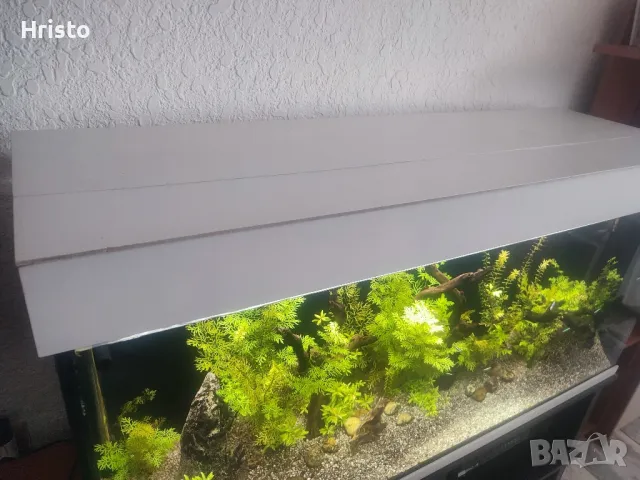 Аквариум 280л.шкаф и канистър, снимка 4 - Аквариуми - 48754907