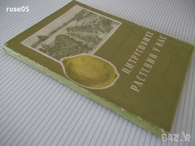 Книга "Цитрусовите растения у нас - С.Серафимов" - 144 стр., снимка 10 - Специализирана литература - 40060658
