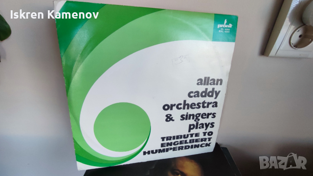 Грамофонни плочи 2, снимка 8 - Грамофонни плочи - 36239446