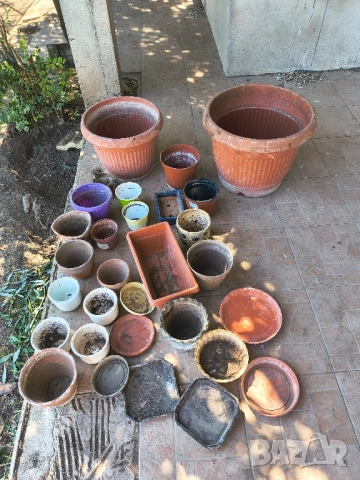 много саксии , снимка 5 - Саксии и кашпи - 51471222