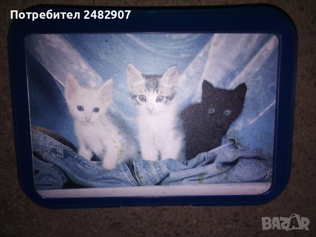 Кутия за съхранение, снимка 4 - Кутии за съхранение - 42217582