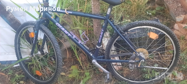 Немски велосипеди, снимка 10 - Велосипеди - 51501416