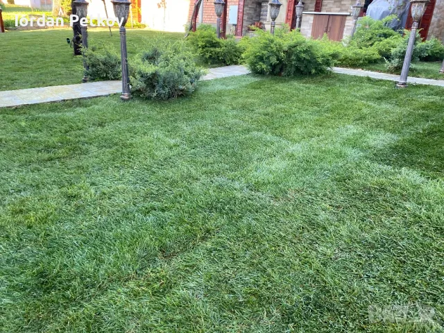 📍📍📍Тревен чим 25 лв. за кв/м. цената включва: тревен чим, товаро-разтоварна дейност, полагане и м, снимка 6 - Градински цветя и растения - 50381448