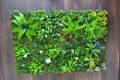 Пано със зеленина за стена, размер 40/60 см, снимка 1