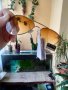 Слънчеви очила eyewear UV 400, снимка 3