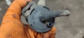 Вакуум клапан турбо A 000 545 04 27 Mercedes C220 W203 - 50лв, снимка 3