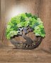 Дърво на живота с декорация Скандинавски мъх, снимка 4