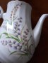 Кана порцеланова , снимка 2