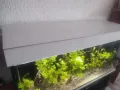 Аквариум 280л.шкаф и канистър, снимка 4
