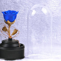 Вълшебна неувяхваща роза в стъкленица с LED светлина., снимка 1 - Други стоки за дома - 44497158