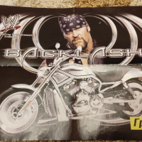 Уникални плакати на Първична сила WWE - Разбиване - Кеч, снимка 5 - Нумизматика и бонистика - 44700639