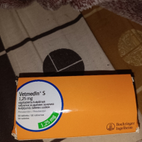 vetmedin S 1,25mg, снимка 1 - Дакели - 44682780