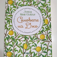 Синовете на Джо - Луиза Мей Олкът, снимка 1 - Художествена литература - 44528767