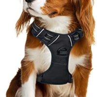Нова Светлоотразителна Регулируема мека подплатена жилетка за кучета/2 клипса за каишка, снимка 1 - За кучета - 41651250