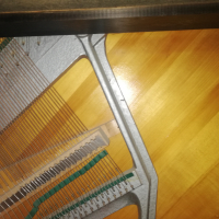 Пиана, рояли, арфи, акордеони - акордиране / настройване и ремонт, снимка 8 - Други услуги - 29723120