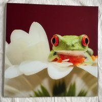 Картини с жаби, снимка 2 - Картини - 41611749