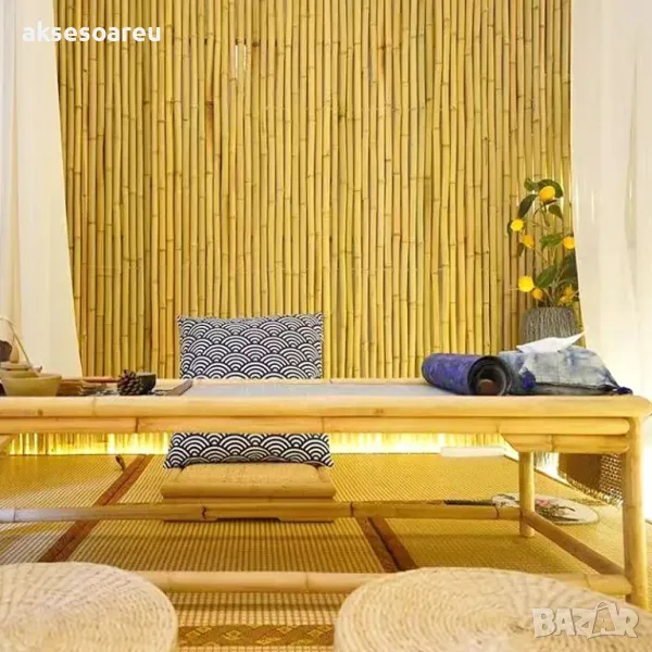 Семена бамбук Moso Bambo декоративни растения за дома и двора бамбуков разсад за декорация, снимка 1