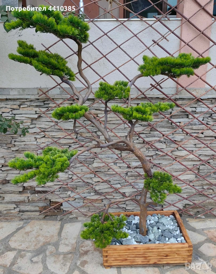 ръчно изработен бонсай Японски стил(уникат) , снимка 1