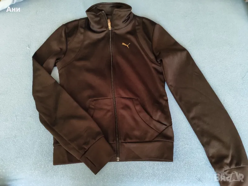 Puma, снимка 1