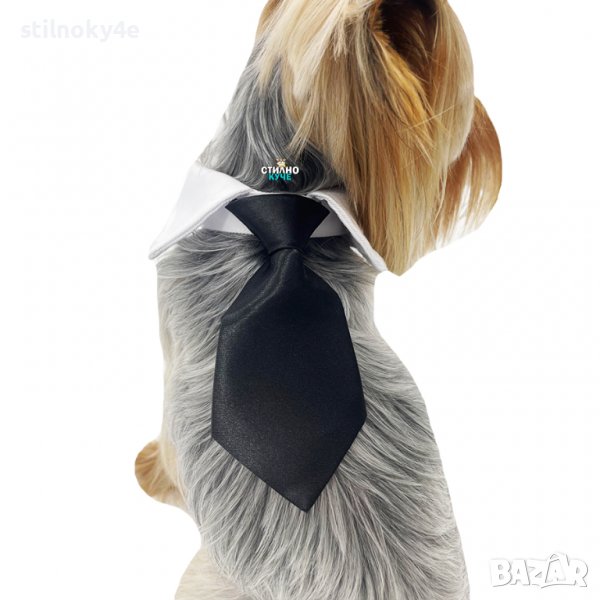 Вратовръзка за дребни, средни и едри породи кучета Кучешки вратовръзки Кучешка вратовръзка/папийонка, снимка 1