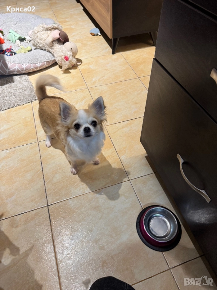 Търси партньор, снимка 1