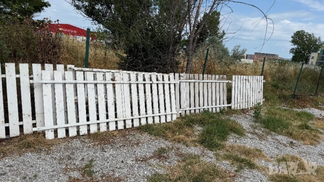 Оградни пана