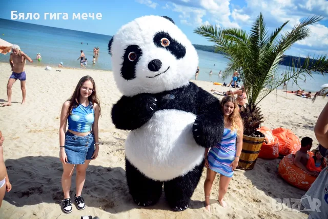 Панда , panda варна парти аниматор , снимка 5 - Детегледачки, детски центрове - 55746061