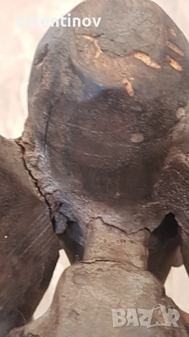Старинна африканска скулптура , снимка 5 - Антикварни и старинни предмети - 53584734