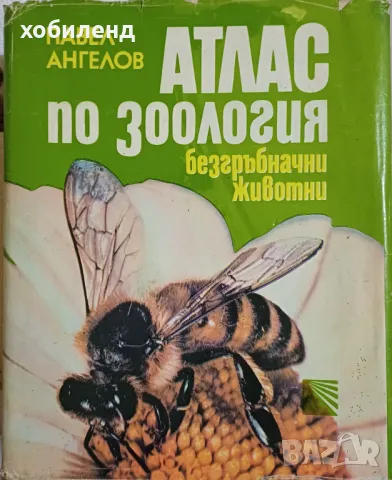 Атлас по зоология-безгръбначни