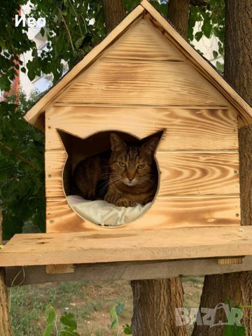 Къща за коте в За котки в гр. Плевен - ID29516693 — Bazar.bg