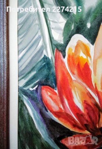 "Бананов цвят", снимка 4 - Картини - 39470769