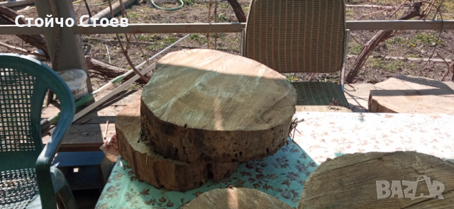 Орех труп и шайби от ореха, снимка 12 - Други - 35444412