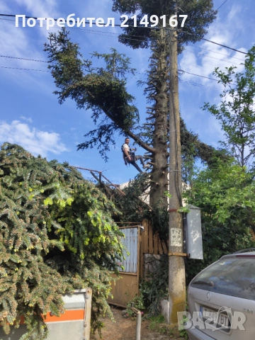 Рязане почистване извозване , снимка 10 - Други услуги - 53743500