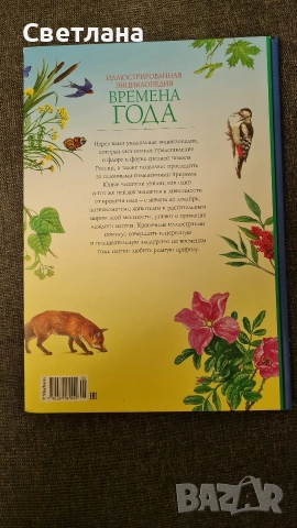 Детски книжки на руски език , снимка 13 - Детски книжки - 50683527