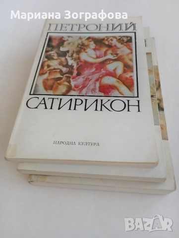 Картини с маслени бои - Худ. М. Зографова, - и Стари книги 5 бр., снимка 11 - Картини - 51310441