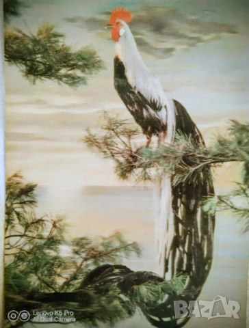 Картички 3D, снимка 2 - Колекции - 53364134