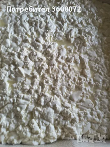 Краве сирене и кашкавал, снимка 5 - Домашни продукти - 56265560