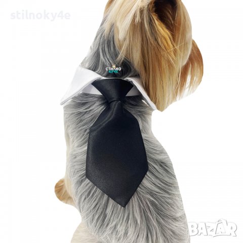 Вратовръзка за дребни, средни и едри породи кучета Кучешки вратовръзки Кучешка вратовръзка/папийонка