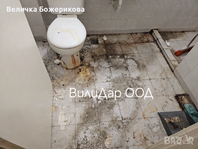 Почистване , снимка 2 - Почистване на домове - 52119218