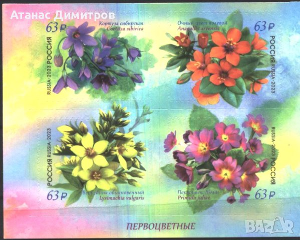 Чисти марки Флора Цветя Иглики 2023 от Русия