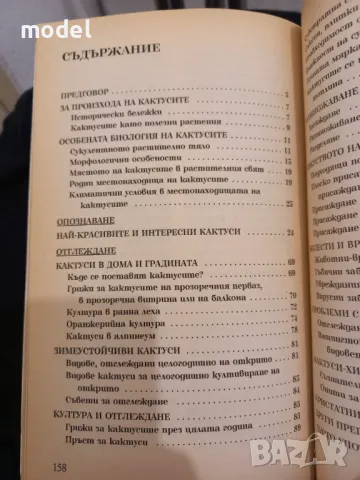 Кактуси - Холгер Доп , снимка 3 - Специализирана литература - 49226165