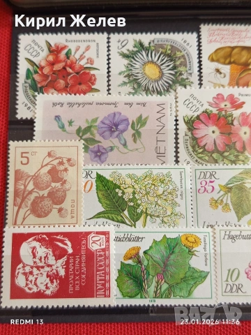Стари пощенски марки от цял свят смесени ЦВЕТЯ,ГЪБИ за КОЛЕКЦИОНЕРИ 52012, снимка 2 - Филателия - 53198174