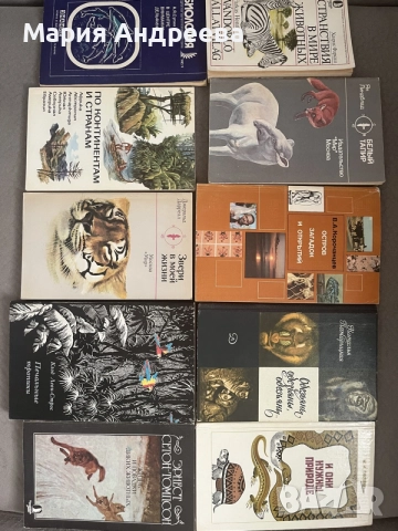 книги на руски език, снимка 2 - Чуждоезична литература - 55817433