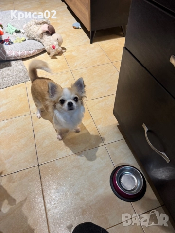 Търси партньор