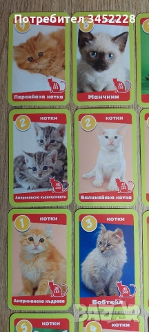 карти за колекционери 19 броя , снимка 7 - Колекции - 52957692