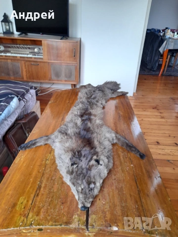 Стара кожа,яка от лисица