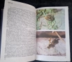 Албум за растения u Животни, снимка 5