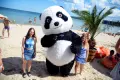 Панда , panda варна парти аниматор , снимка 5
