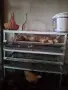 Продавам клетка за пъдпъдъци +пъдпъдъци , снимка 1